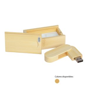 Pendrive ER Cod. GJD329